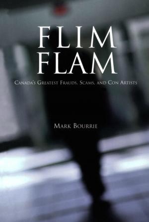 Cover of the book Flim Flam by Steve Paikin