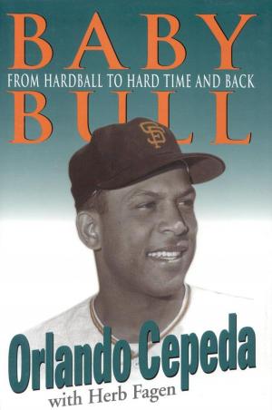 Cover of the book Baby Bull by Scott Martin