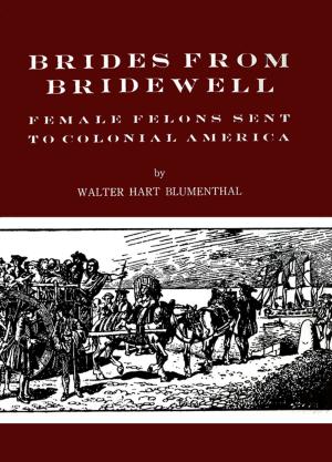 Cover of the book Brides from Bridewell by Joel Stern