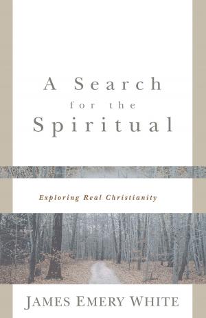 Cover of the book Search for the Spiritual, A by Tracie Peterson