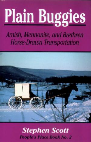 Book cover of Plain Buggies