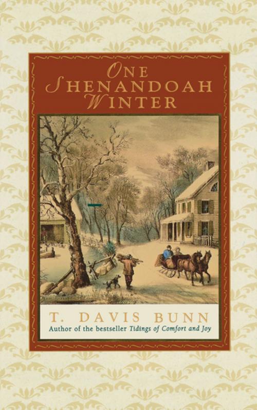 Cover of the book One Shenandoah Winter by Davis Bunn, Thomas Nelson