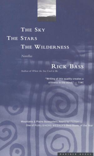 bigCover of the book The Sky, the Stars, the Wilderness by 