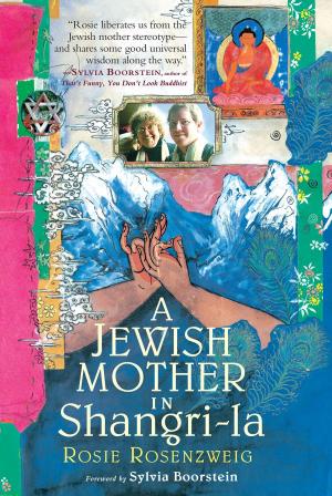 Cover of the book A Jewish Mother in Shangri-la by Reginald A. Ray