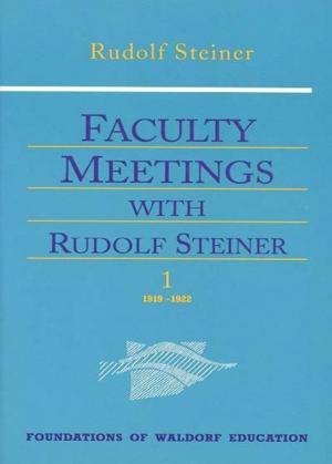 Cover of the book Faculty Meetings with Rudolf Steiner by Shulamit Elson