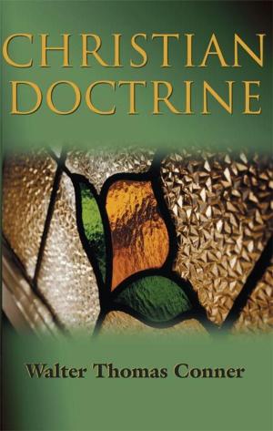 Cover of the book Christian Doctrine by Terry Hayward