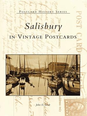 Cover of the book Salisbury in Vintage Postcards by John Garvey