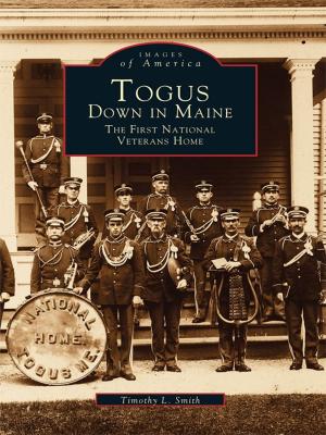 Cover of the book Togus, Down in Maine by Richard F. Herzog