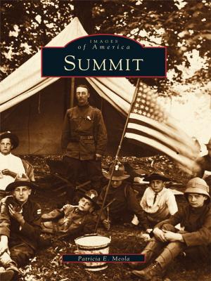 Cover of the book Summit by Kathryn W. Burke