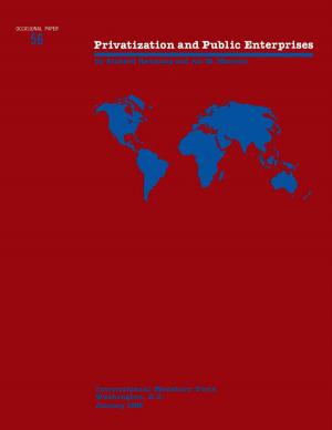 Cover of the book Privatization and Public Enterprises by Harm Mr. Zebregs, Wanda Ms. Tseng
