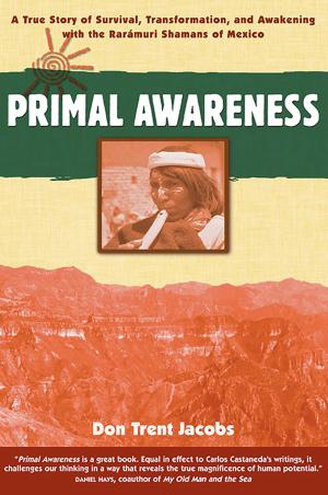 Book cover of Primal Awareness