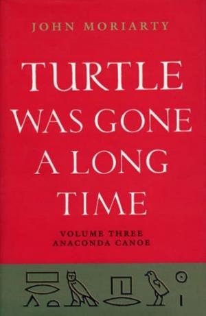 Book cover of Turtle Was Gone a Long Time Volume 3