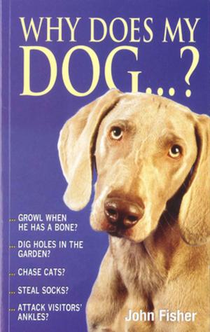 Cover of the book Why Does My Dog...? by Mark Curtis
