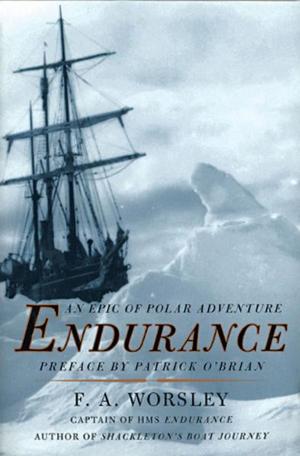 Cover of the book Endurance by Alastair Scott