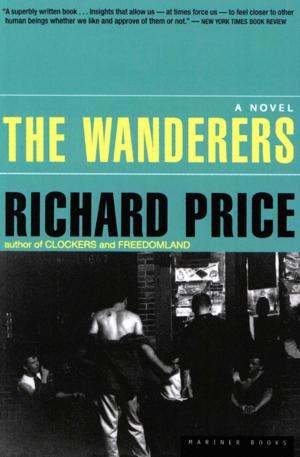 Cover of the book The Wanderers by Jason Padgett, Maureen Ann Seaberg