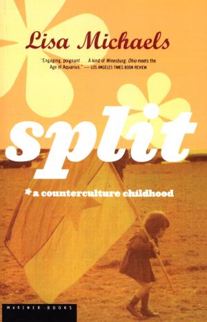 Cover of the book Split by Avi