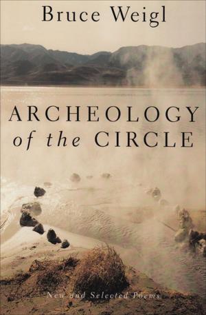 Cover of the book Archeology of the Circle by Sarah Schmidt