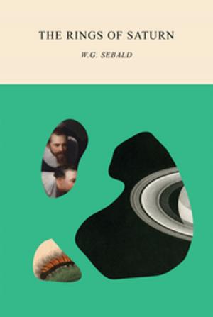 Cover of the book The Rings of Saturn by Tommaso Landolfi