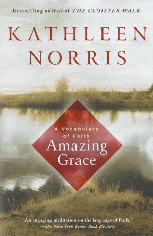 Cover of the book Amazing Grace by Vicki Lewis Thompson