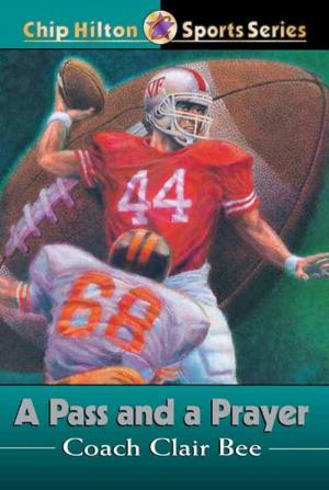 Cover of the book A Pass and a Prayer by Troy Schmidt
