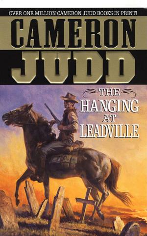 Cover of the book The Hanging At Leadville by Frank Owen