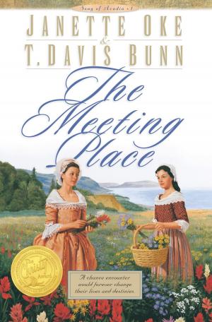 Book cover of Meeting Place, The (Song of Acadia Book #1)