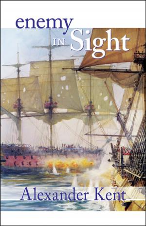 Cover of the book Enemy in Sight! by Dudley Pope