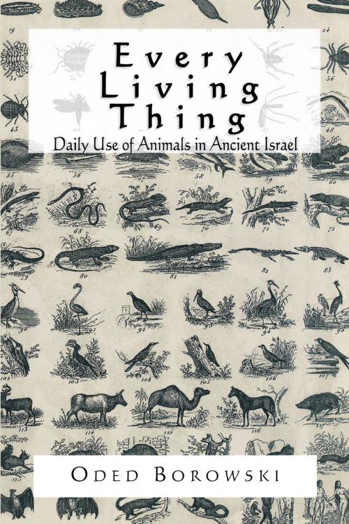 Cover of the book Every Living Thing by Oded Borowski, AltaMira Press
