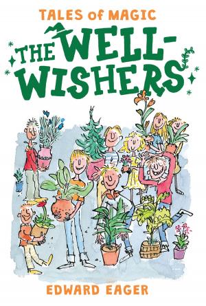 Cover of the book The Well-Wishers by Lindsey Goddard