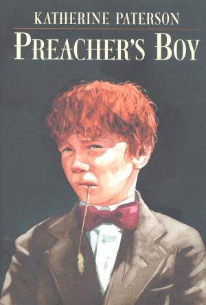 Book cover of Preacher's Boy