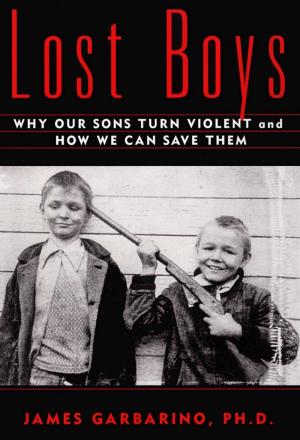 Cover of the book Lost Boys by Raymond Arsenault
