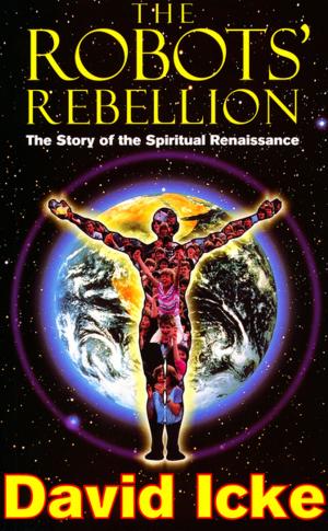 Book cover of The Robots' Rebellion – The Story of Spiritual Renaissance