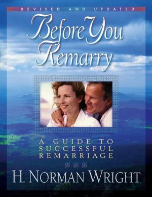 Book cover of Before You Remarry