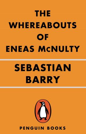 bigCover of the book The Whereabouts of Eneas McNulty by 