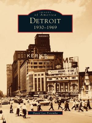Cover of the book Detroit by Carl Ganster, Carl Reidler