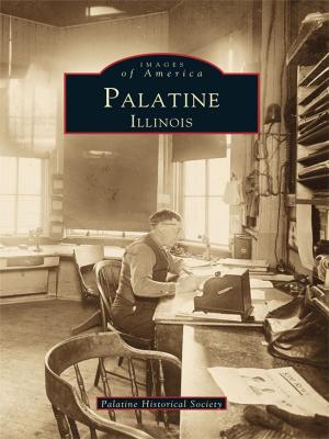 Cover of the book Palatine, Illinois by John E. Findling, Tom Morton