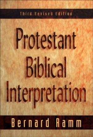 Cover of Protestant Biblical Interpretation