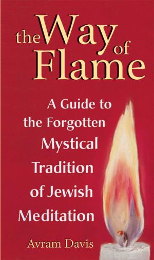 Cover of the book The Way of Flame by Rabbi Lawrence A. Hoffman