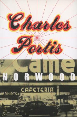 Cover of the book Norwood by Aidan Chambers