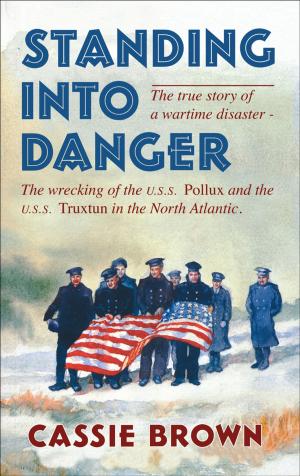 Cover of the book Standing into Danger by Shannon Ryan