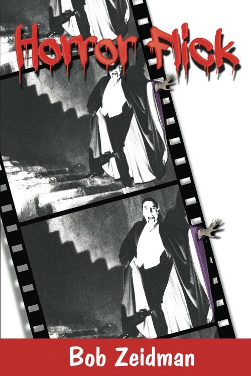 Cover of the book Horror Flick by Bob Zeidman, Swiss Creek Publications