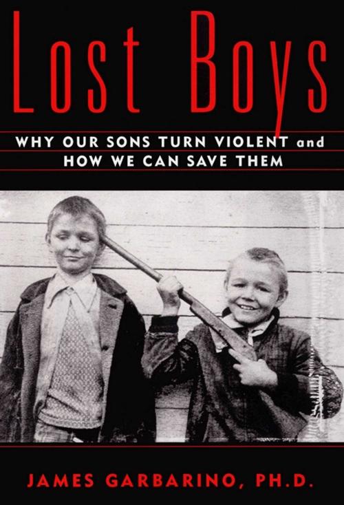 Cover of the book Lost Boys by James Garbarino, Ph.D., Free Press