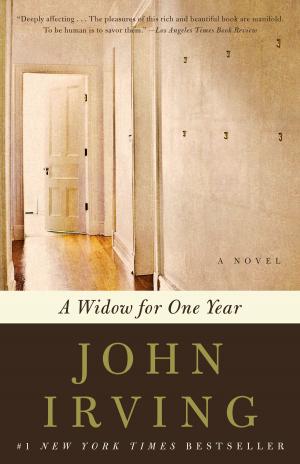 bigCover of the book A Widow for One Year by 