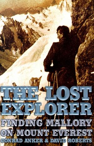 Cover of the book The Lost Explorer by Laurence Steinberg