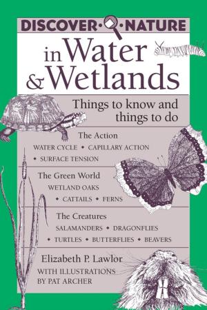Cover of the book Discover Nature in Water & Wetlands by Tony Sweet