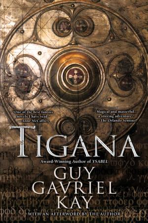 Cover of the book Tigana by Veronica Bennett