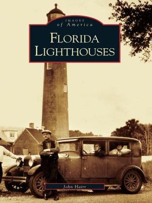 Cover of the book Florida Lighthouses by Chris Kinsley