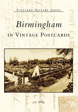 Cover of the book Birmingham in Vintage Postcards by Jim Hartman, Homestead and Mifflin Township Historical Society