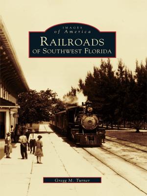 Cover of the book Railroads of Southwest Florida by Barbara Braden Guffey, Debora Swatsworth Foster