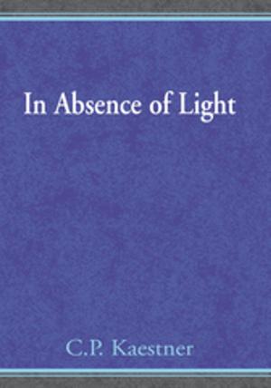 Cover of the book In Absence of Light by J. N. Sadler